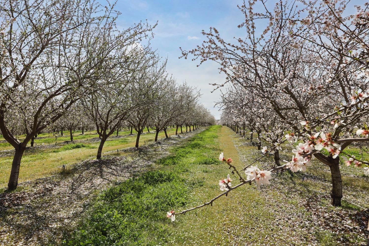 10031 Frankenheimer Rd, Oakdale, CA 95361