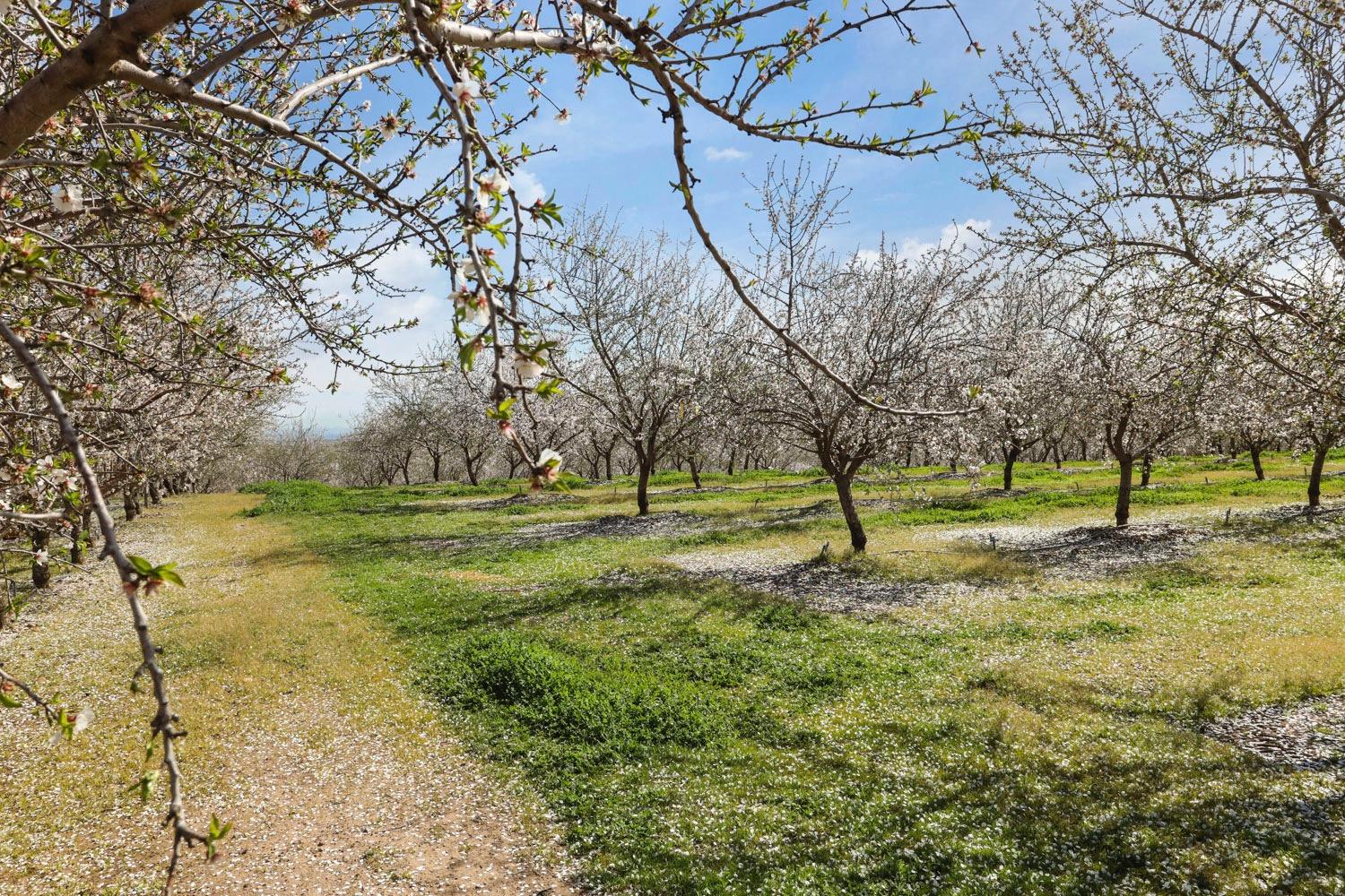 10031 Frankenheimer Rd, Oakdale, CA 95361