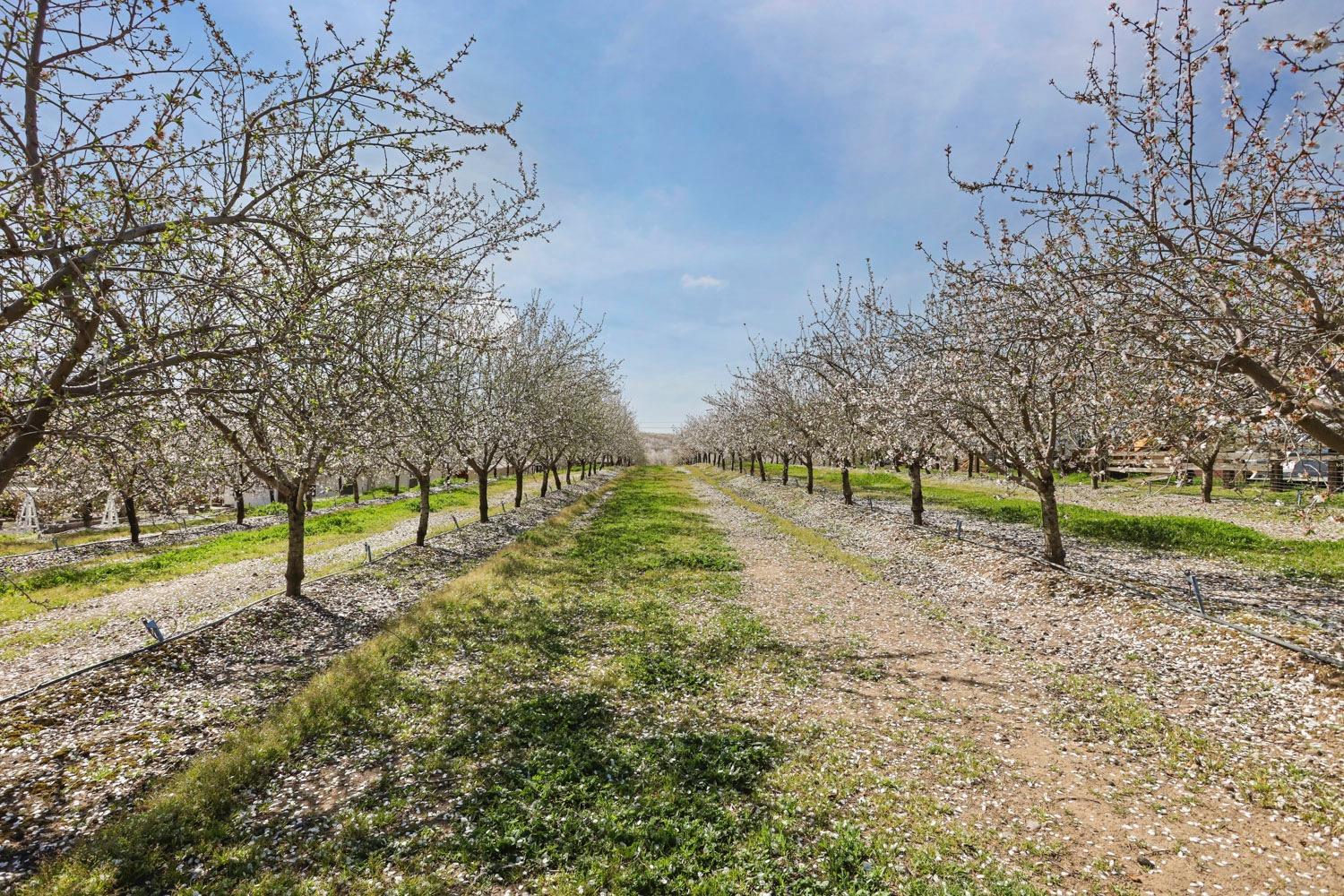 10031 Frankenheimer Rd, Oakdale, CA 95361