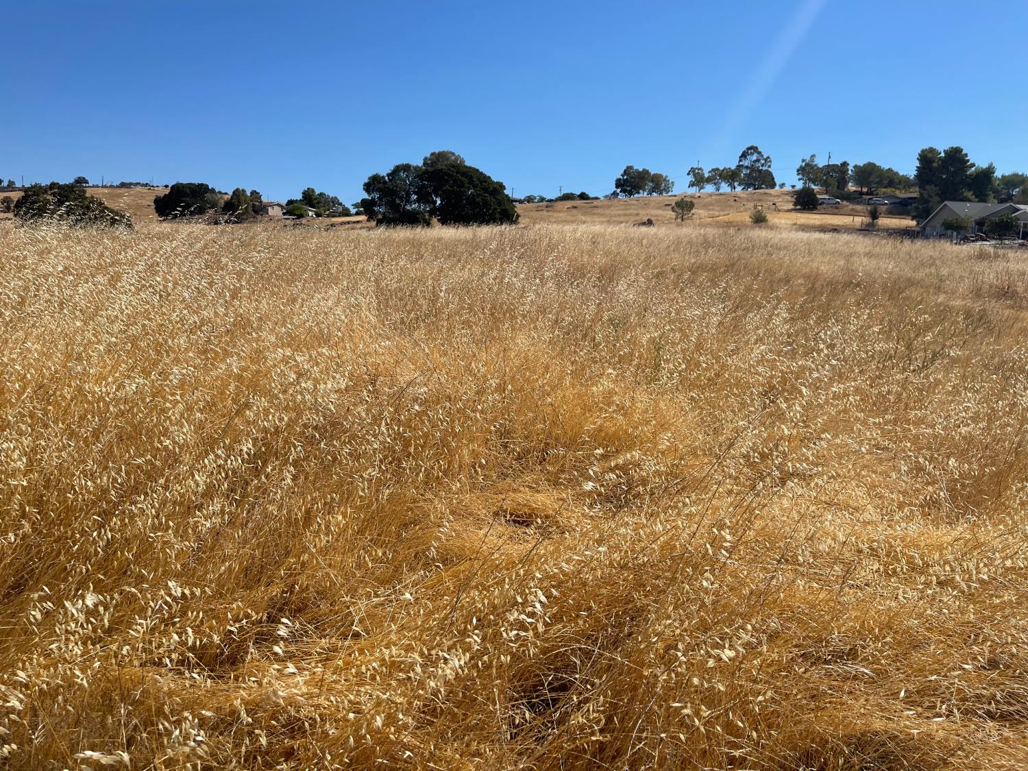 9588 Paraiso Blvd, La Grange, CA 95329