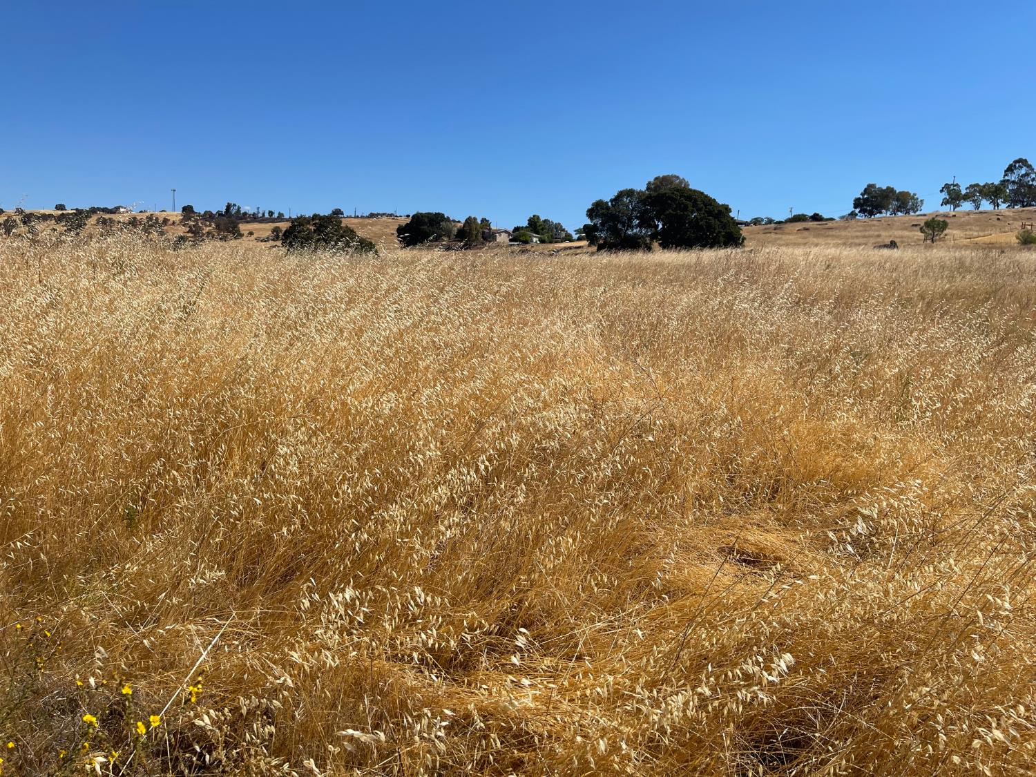 9588 Paraiso Blvd, La Grange, CA 95329