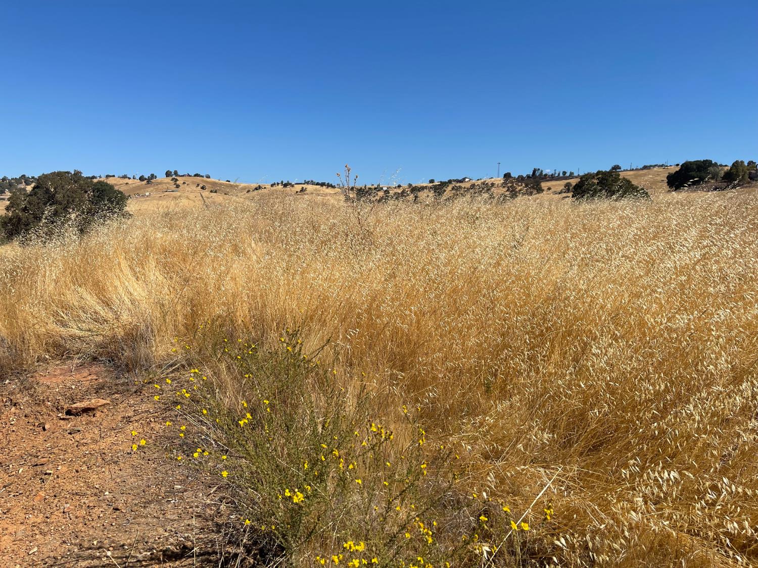 9588 Paraiso Blvd, La Grange, CA 95329