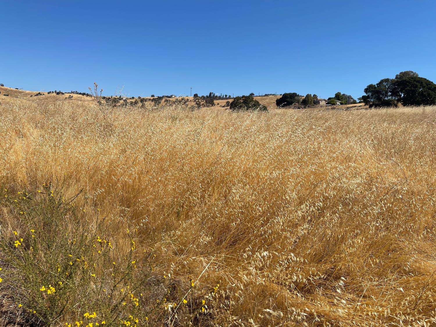 9588 Paraiso Blvd, La Grange, CA 95329