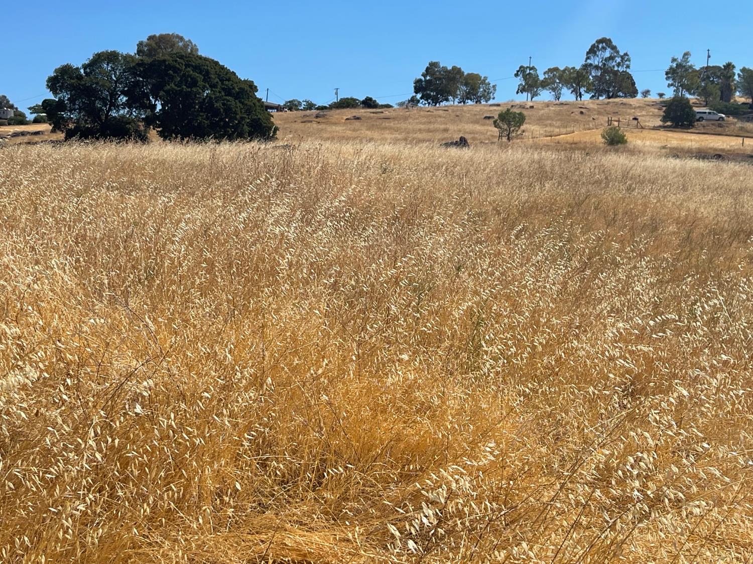 9588 Paraiso Blvd, La Grange, CA 95329