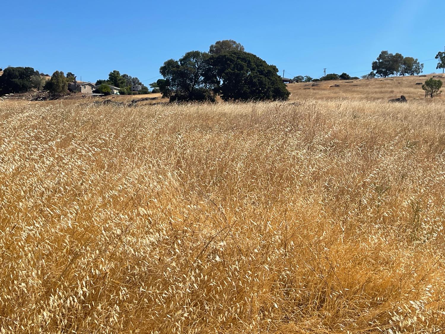 9588 Paraiso Blvd, La Grange, CA 95329