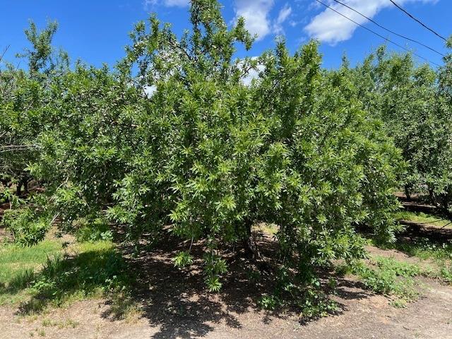 2901 Youngstown Rd, Turlock, CA 95380