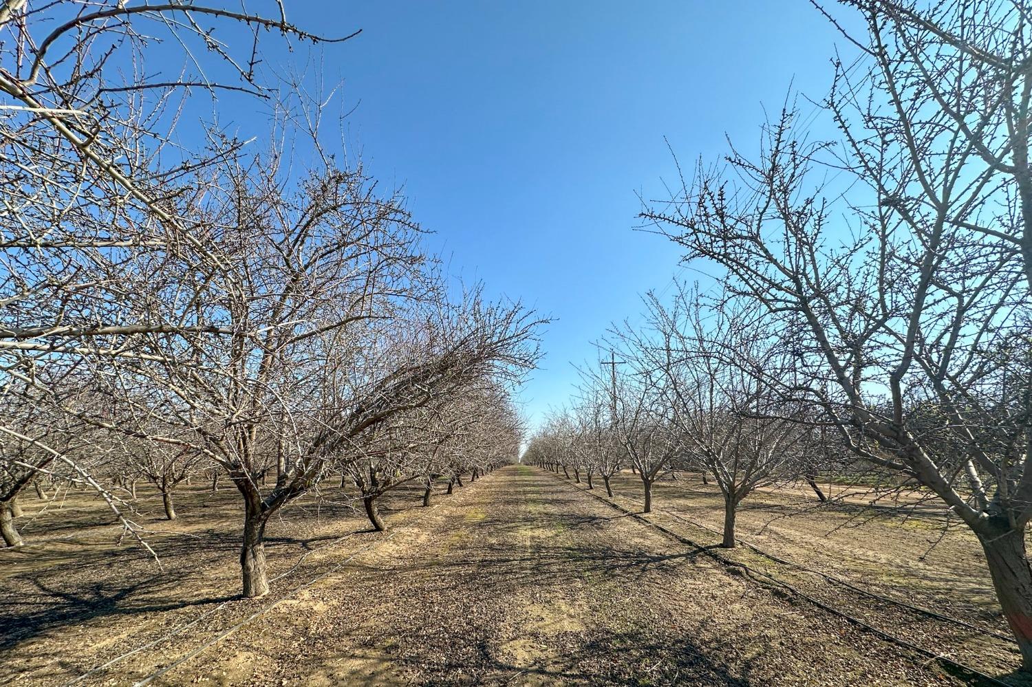 0 0 Road 26, Chowchilla, CA 93610