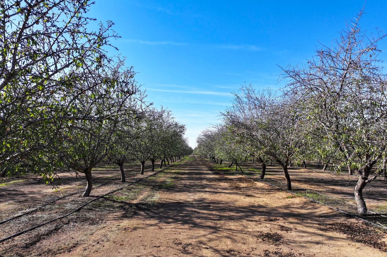 0 0 Road 26, Chowchilla, CA 93610