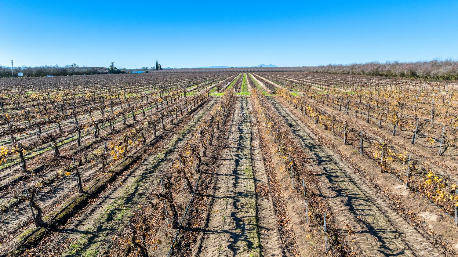 2521 Coelho Rd, Manteca, CA 95336