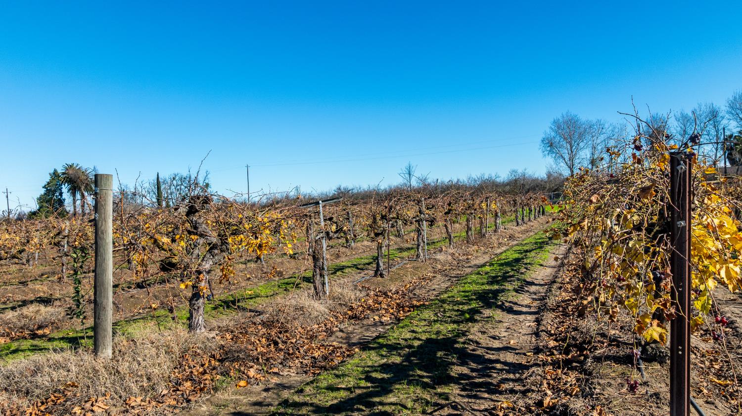 2521 Coelho Rd, Manteca, CA 95336