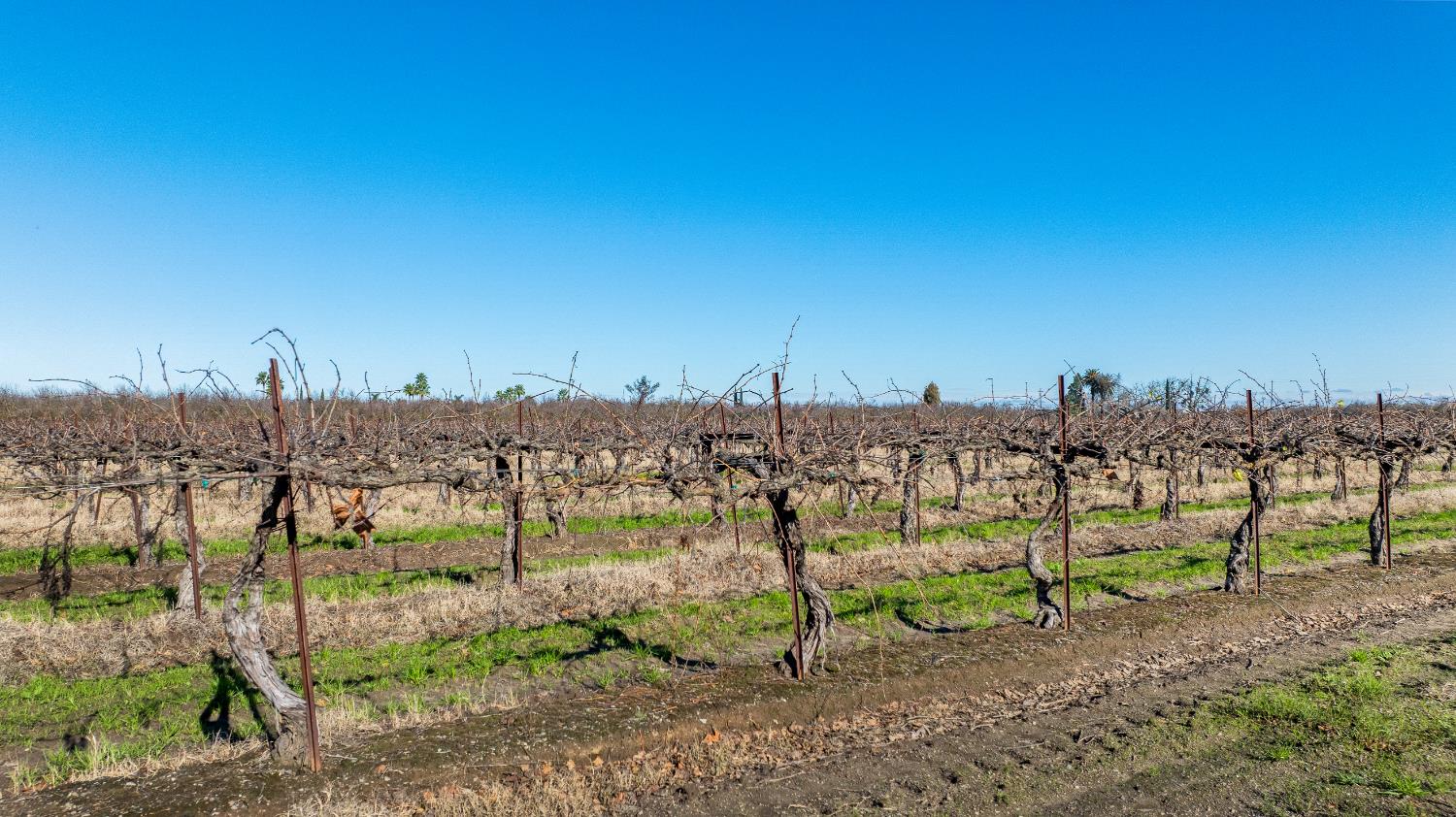 2521 Coelho Rd, Manteca, CA 95336