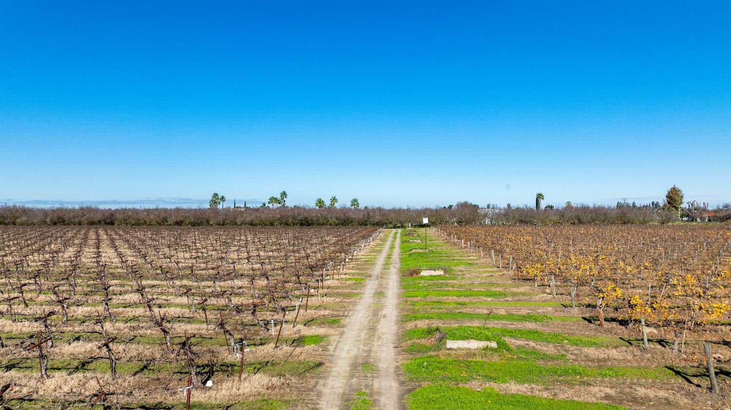 2521 Coelho Rd, Manteca, CA 95336