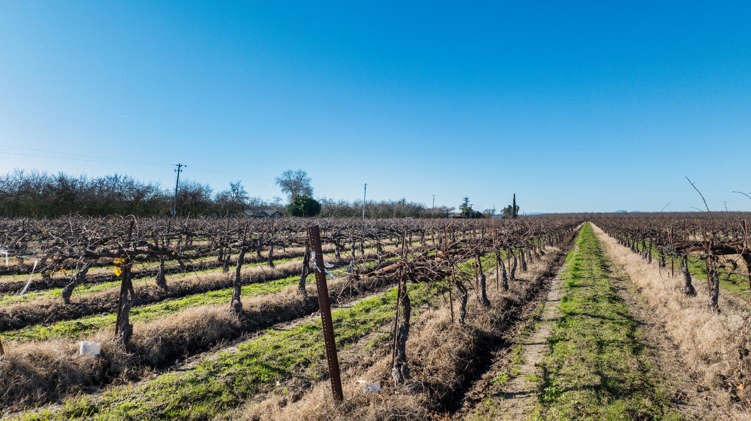 2521 Coelho Rd, Manteca, CA 95336