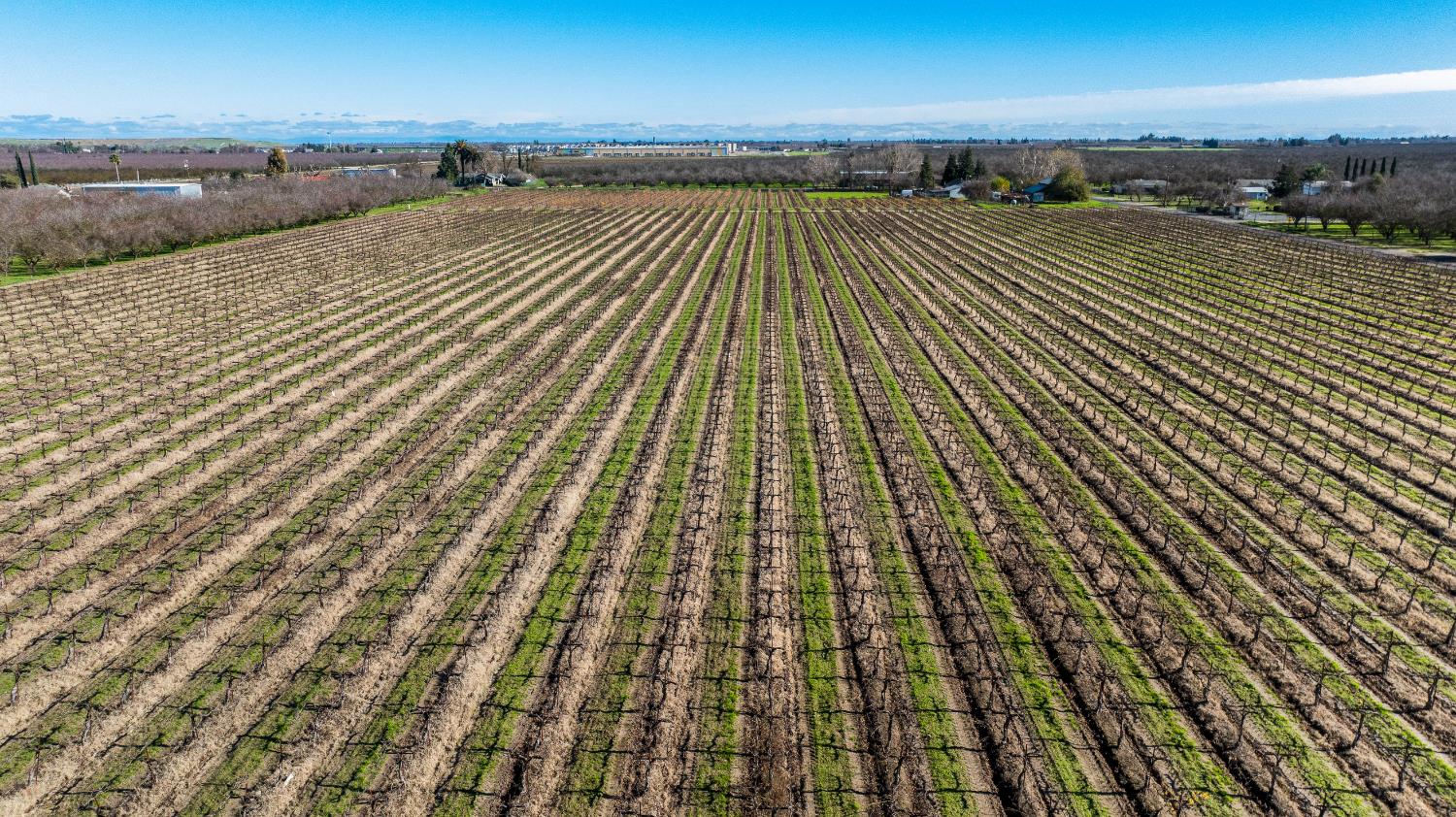 2521 Coelho Rd, Manteca, CA 95336