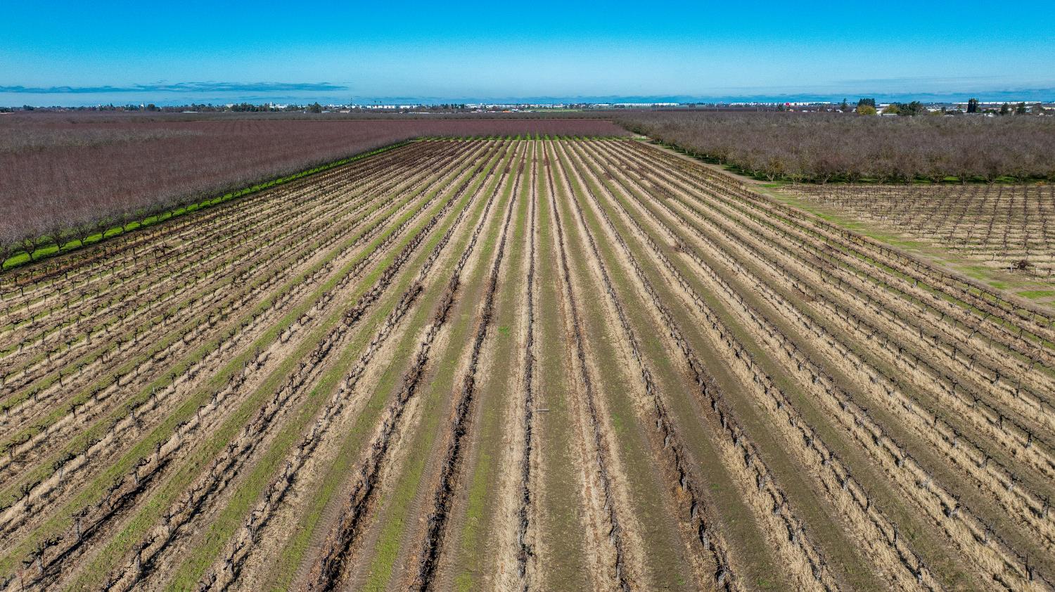 2521 Coelho Rd, Manteca, CA 95336