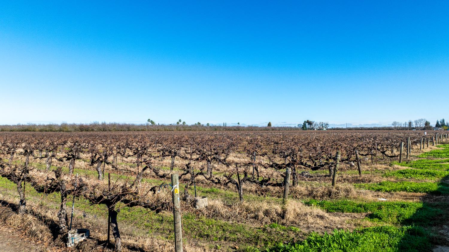 2521 Coelho Rd, Manteca, CA 95336