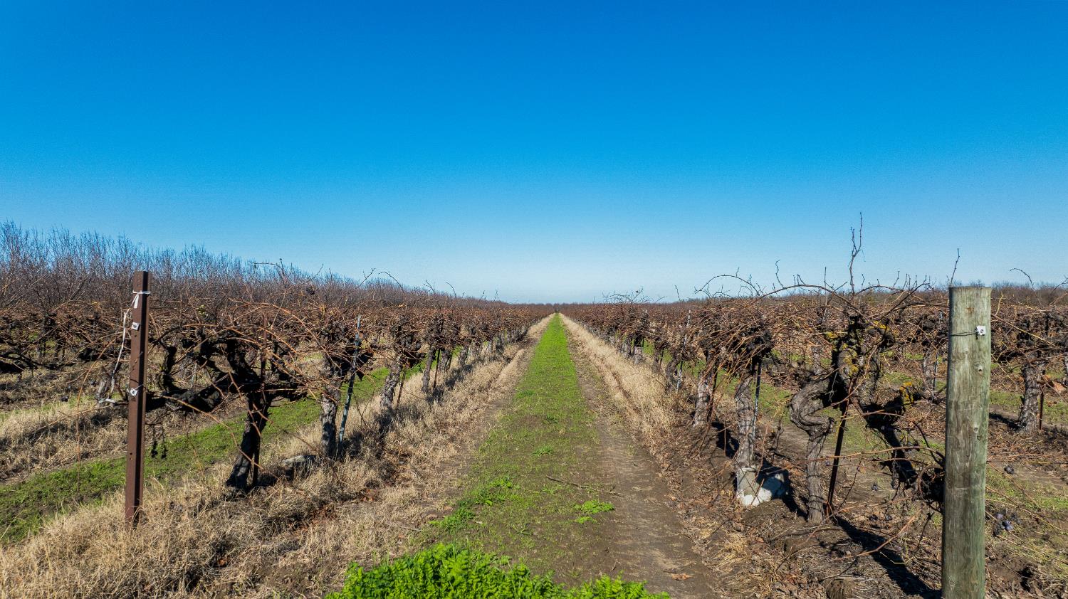 2521 Coelho Rd, Manteca, CA 95336