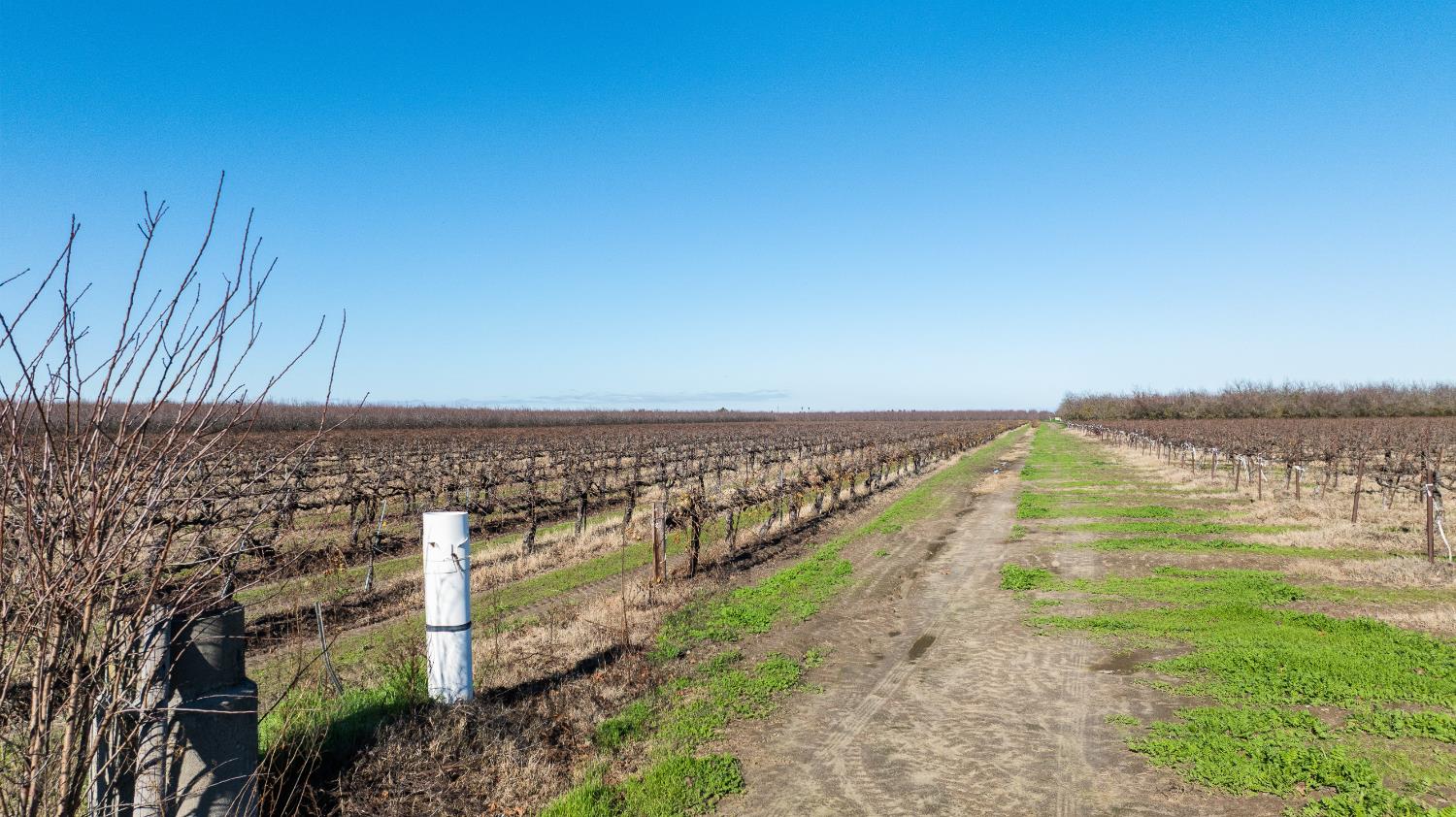 2521 Coelho Rd, Manteca, CA 95336