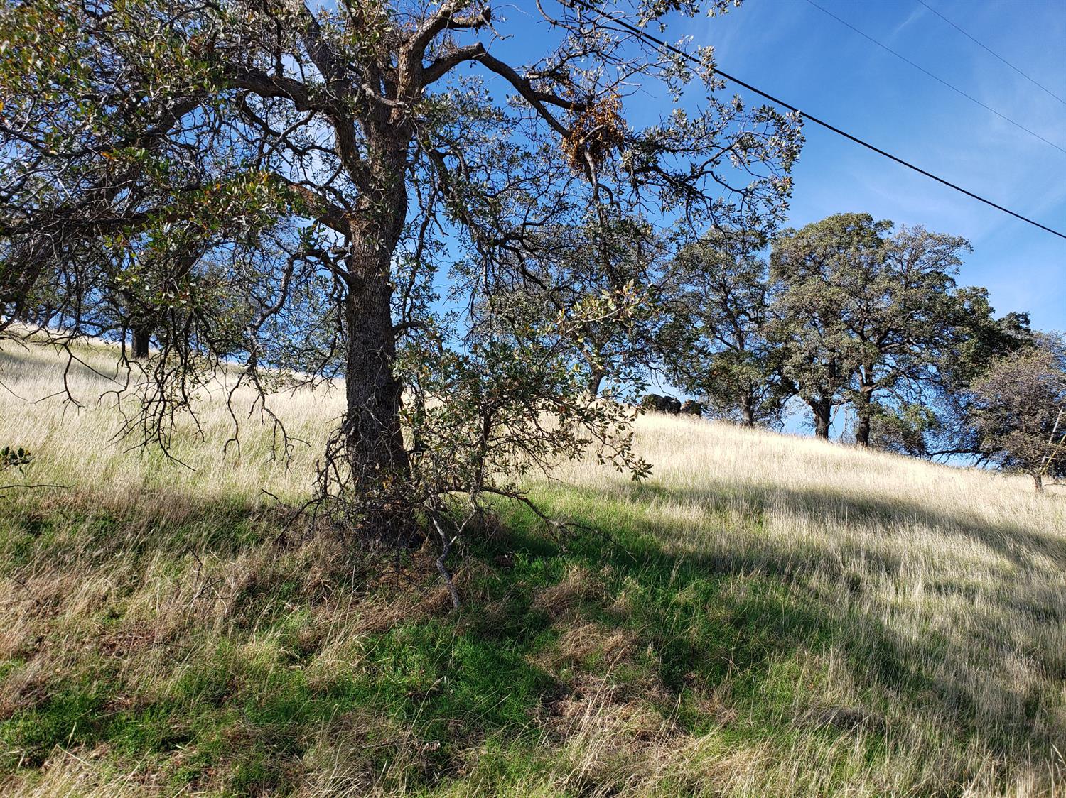 9767 Mirasol Way, La Grange, CA 95329