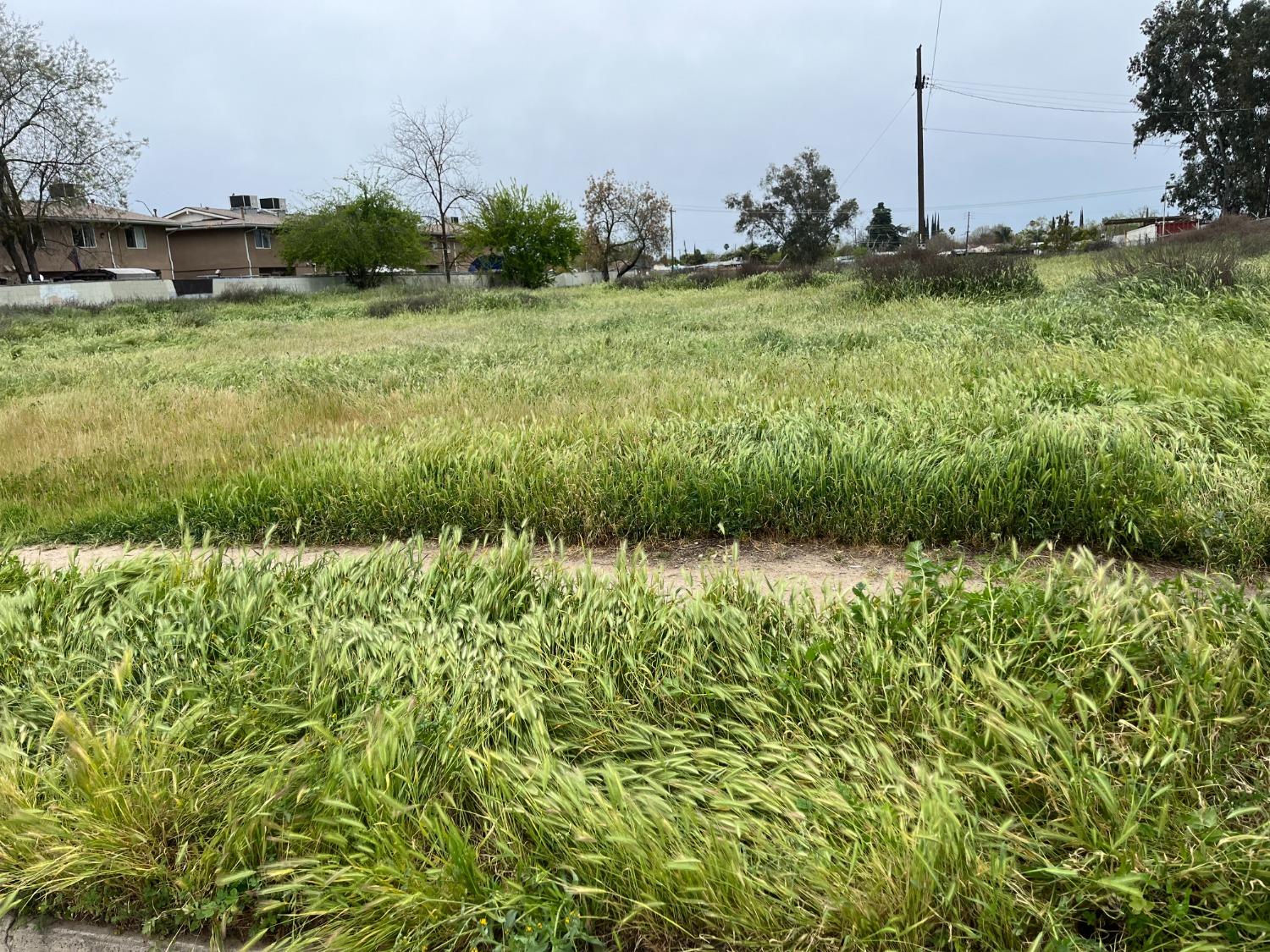 1013 E Yosemite Ave, Madera, CA 93638