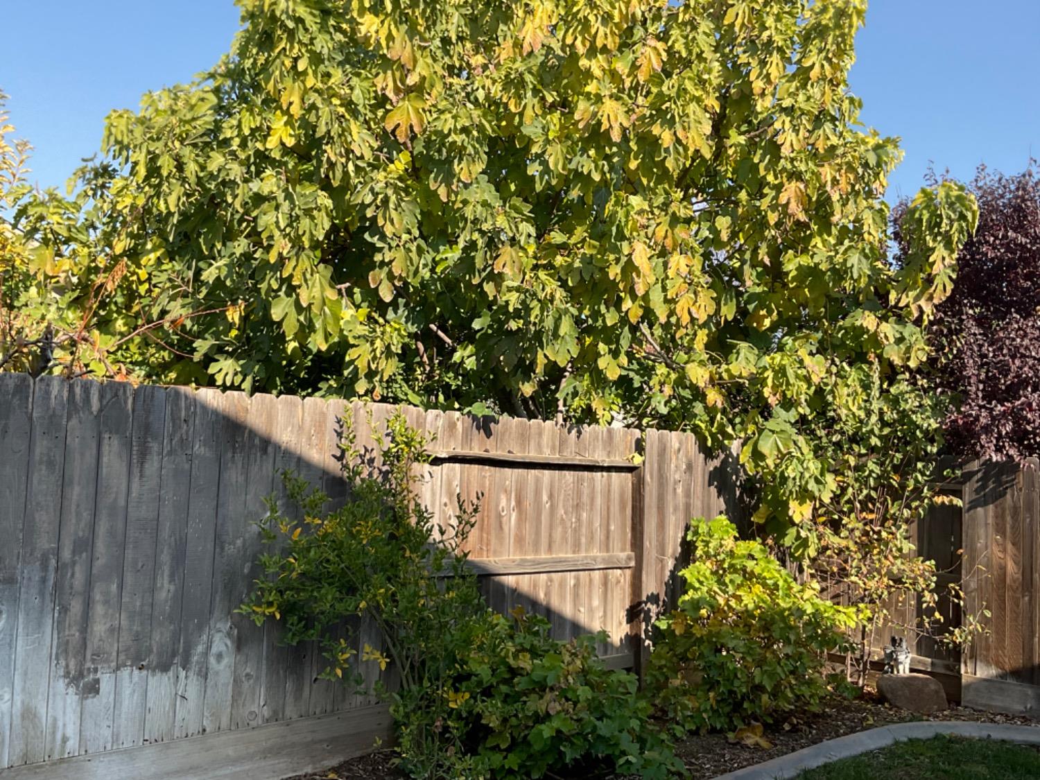 2094 W Pincay St, Merced, CA 95348