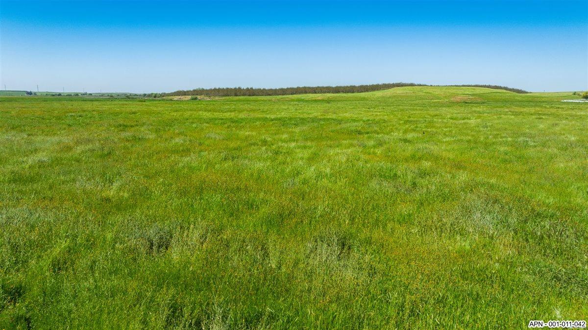 42 26 Mile Road, Oakdale, CA 95361