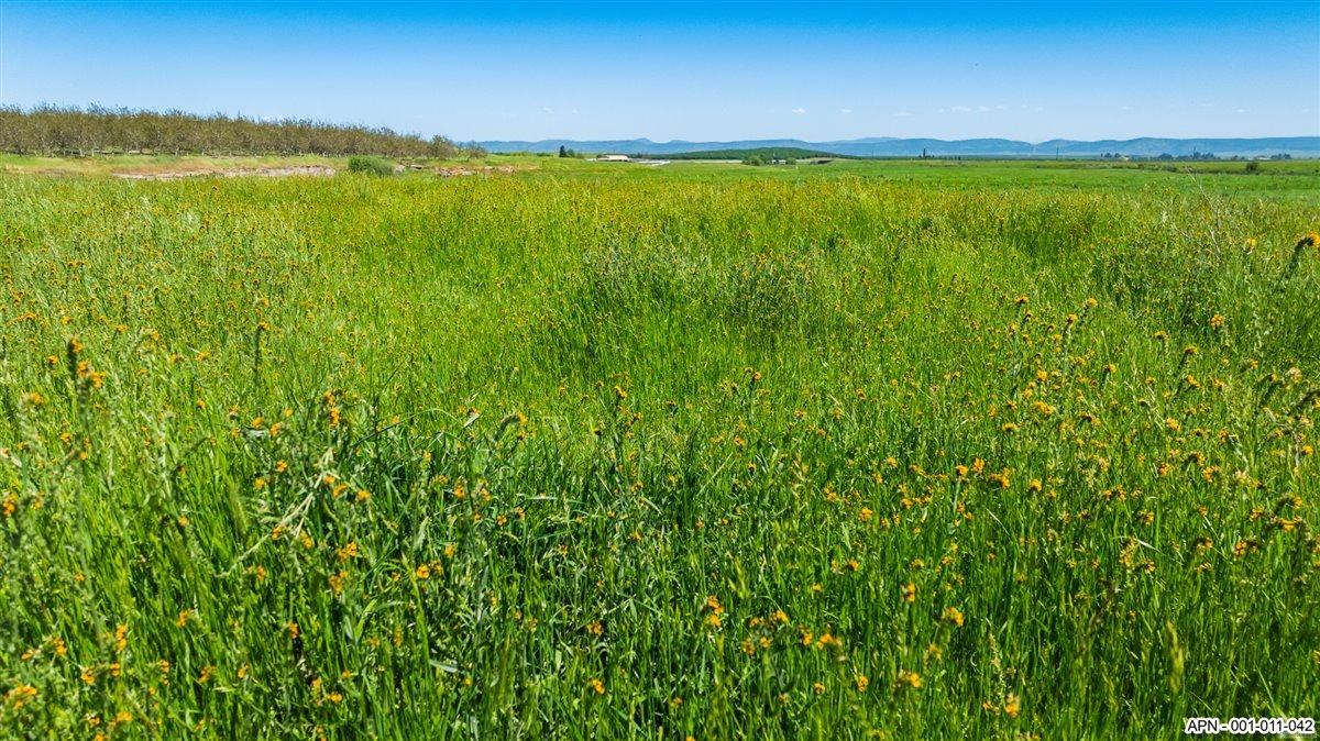 42 26 Mile Road, Oakdale, CA 95361