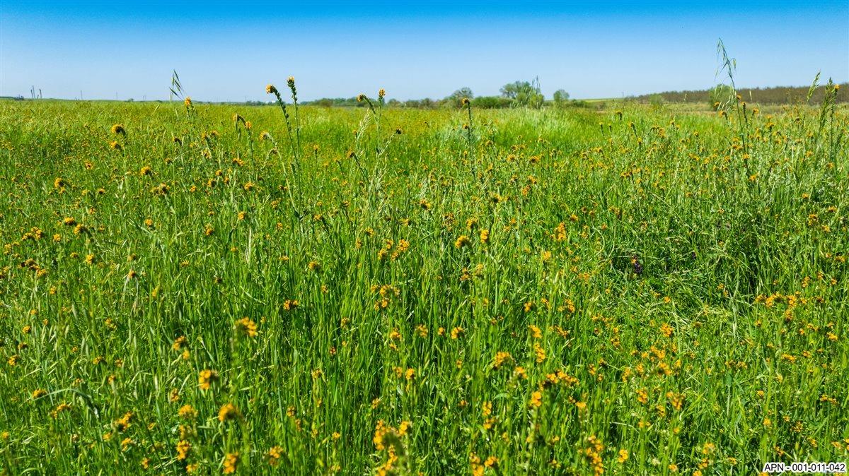 42 26 Mile Road, Oakdale, CA 95361