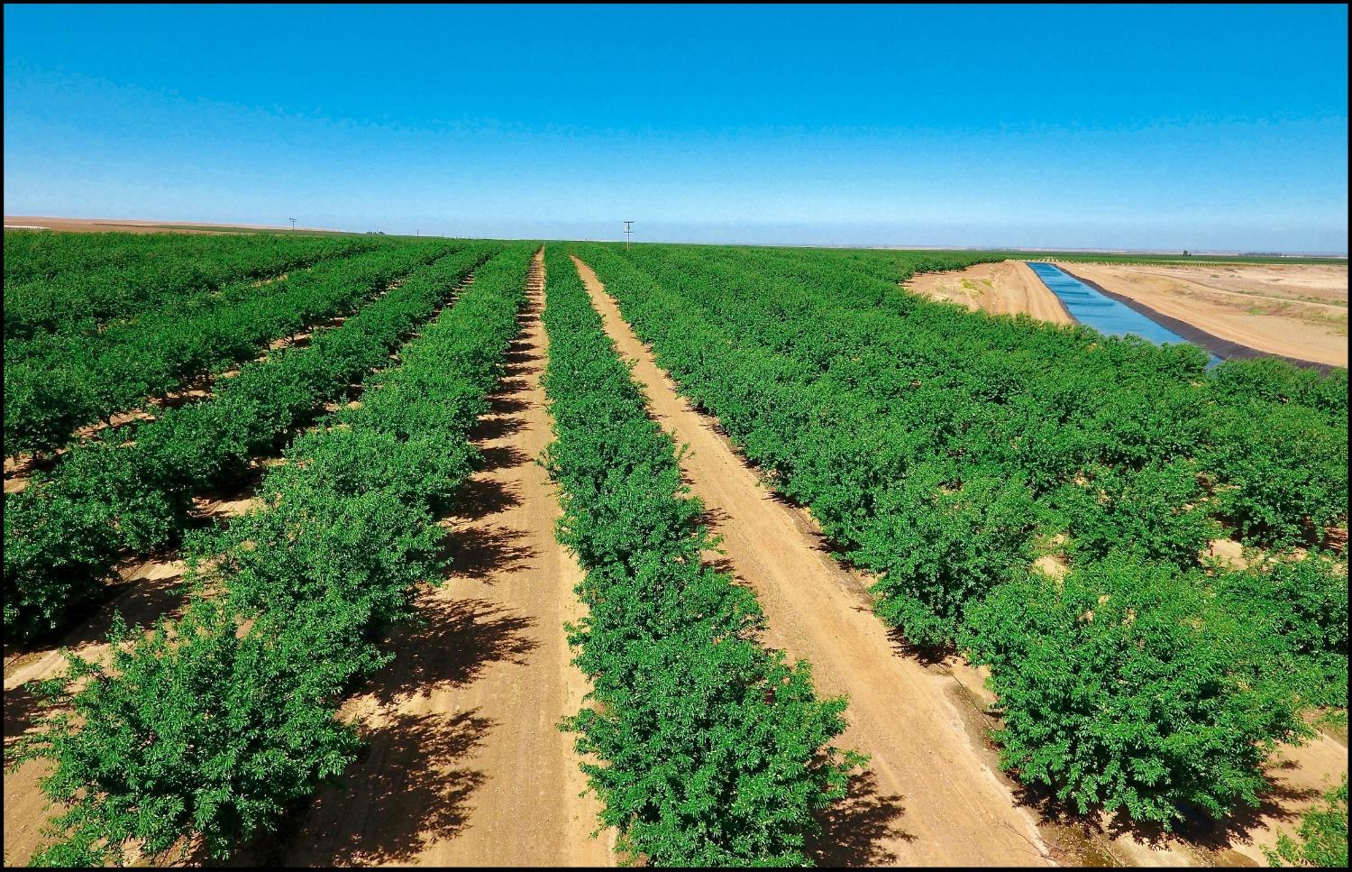 0 0 Little Panoche Rd, Firebaugh, CA 93622