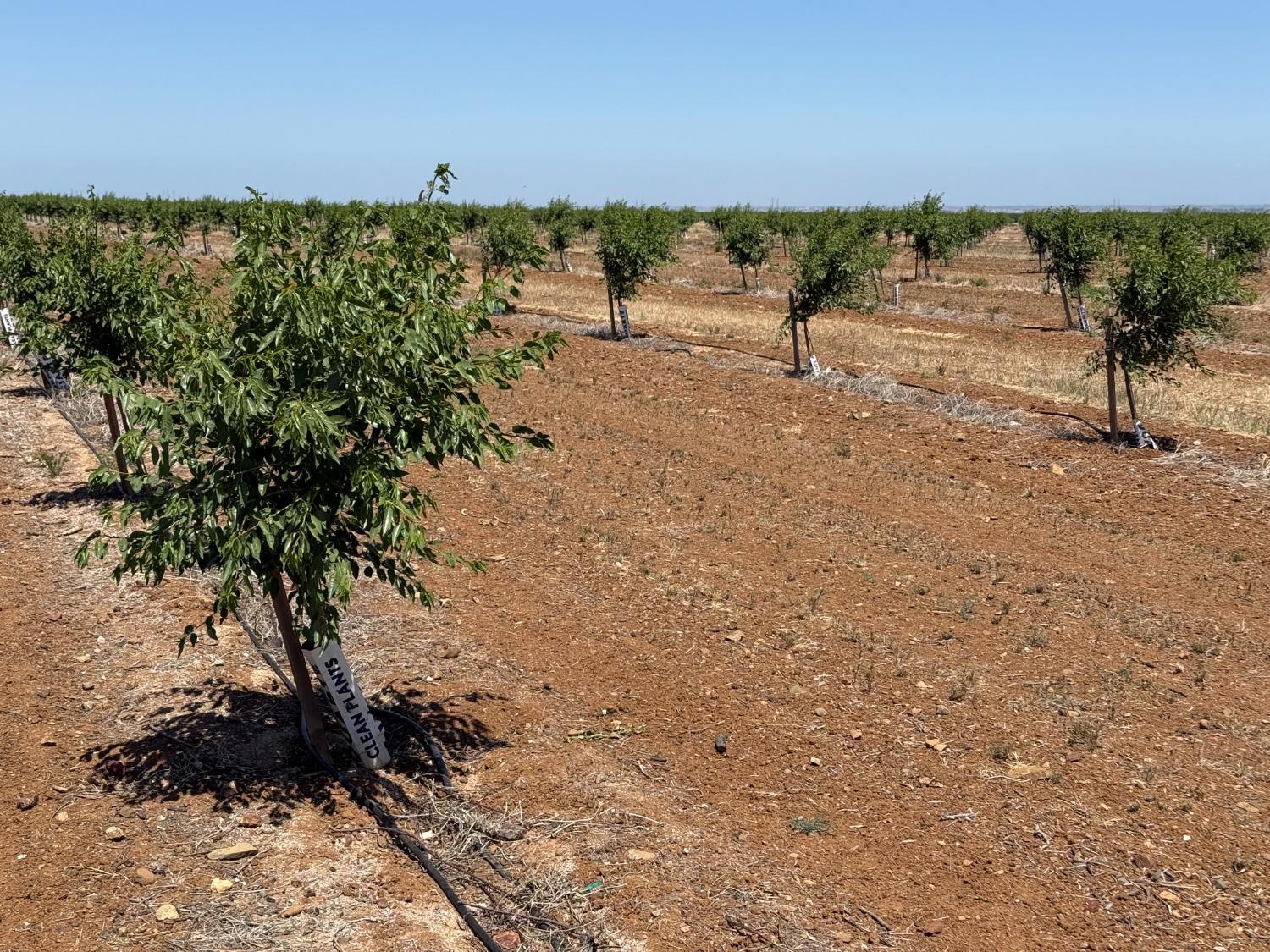 0 0 Little Panoche Rd, Firebaugh, CA 93622