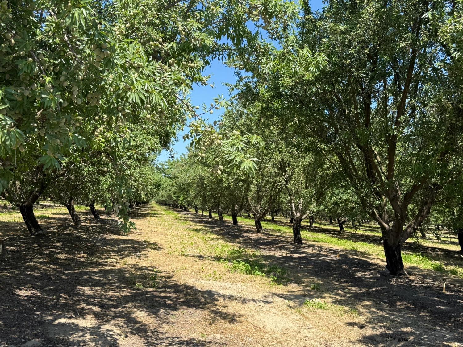 0 Sunset, Livingston, CA 95334