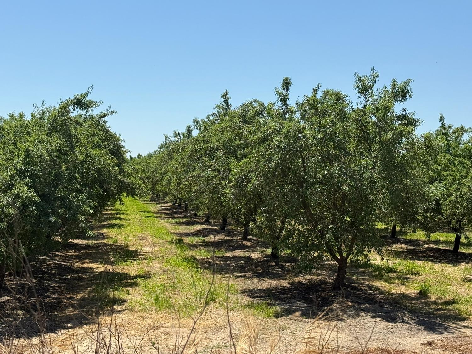 0 Sunset, Livingston, CA 95334