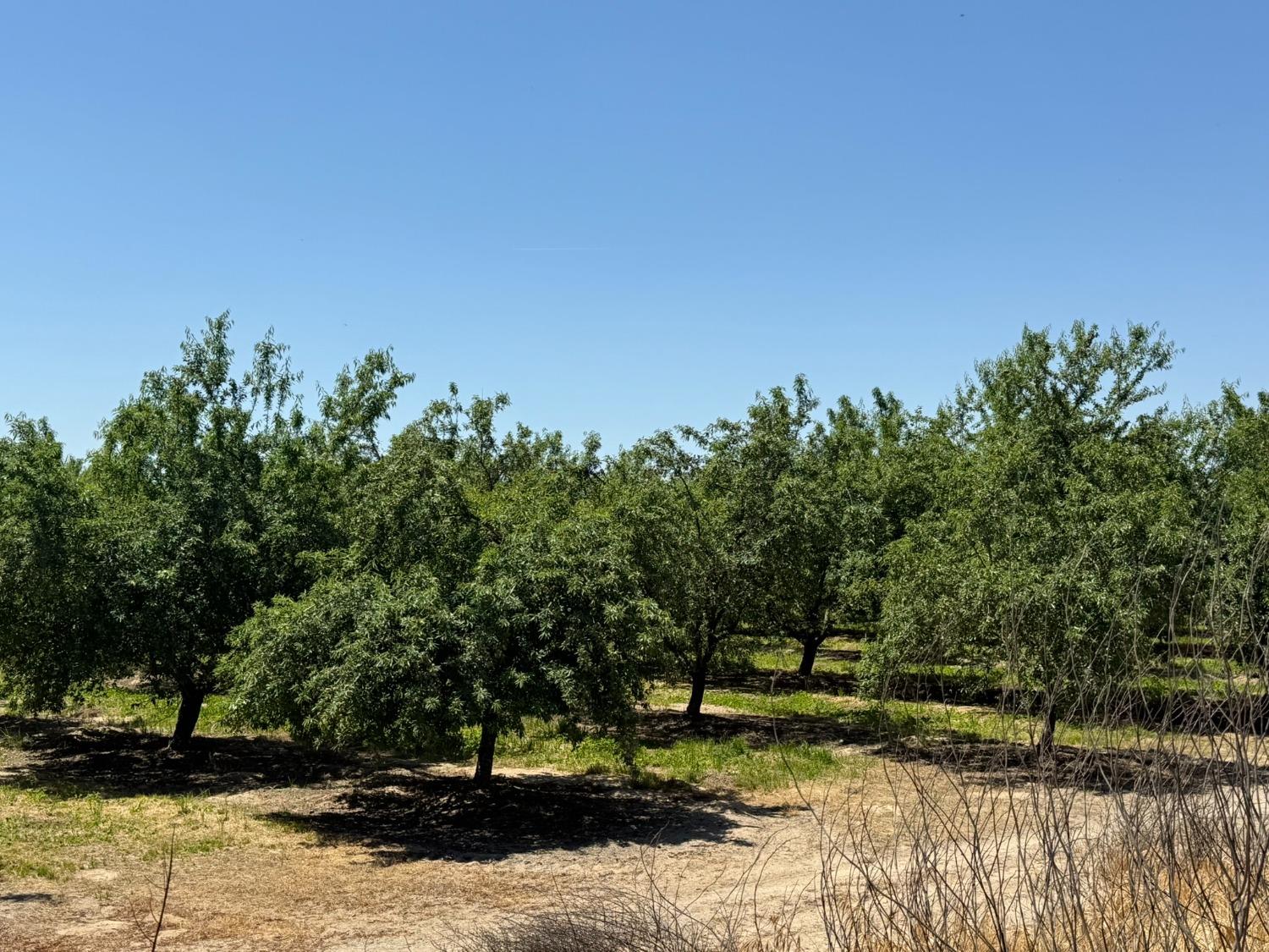 0 Sunset, Livingston, CA 95334