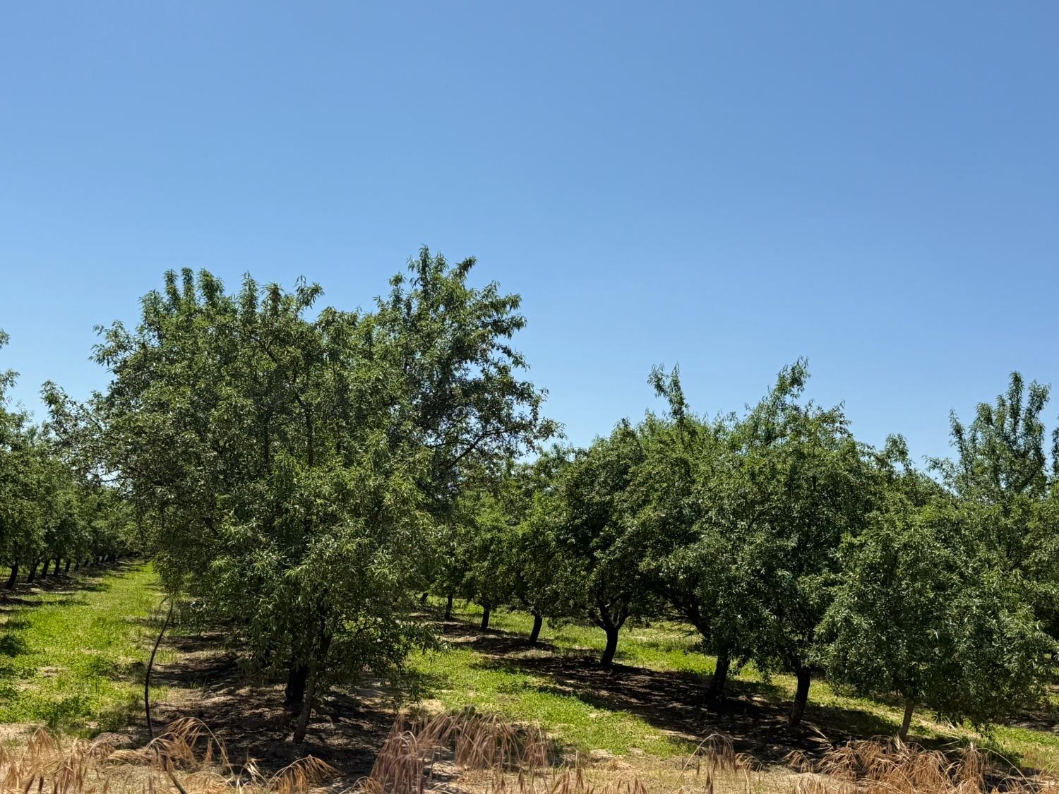 0 Sunset, Livingston, CA 95334