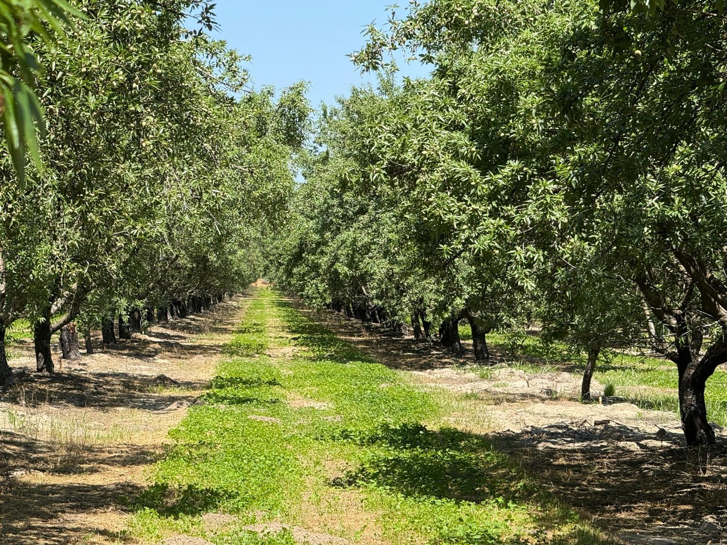 0 Sunset, Livingston, CA 95334