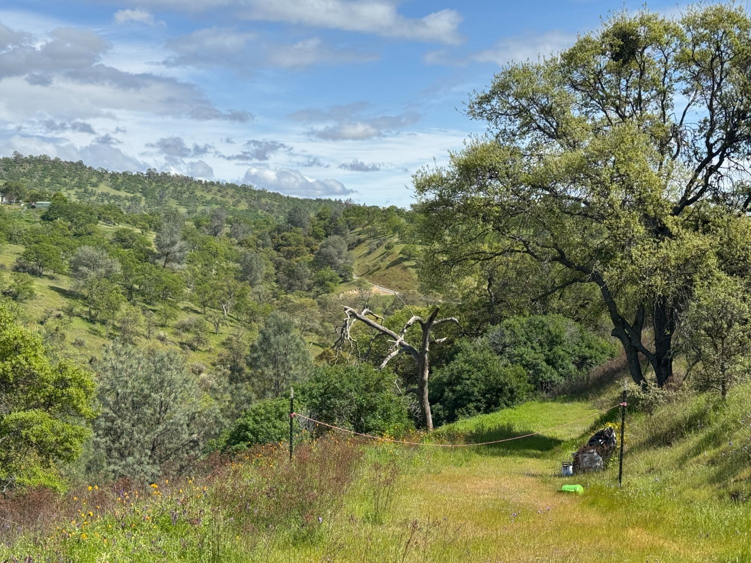 679 Zarzamora, La Grange, CA 95329