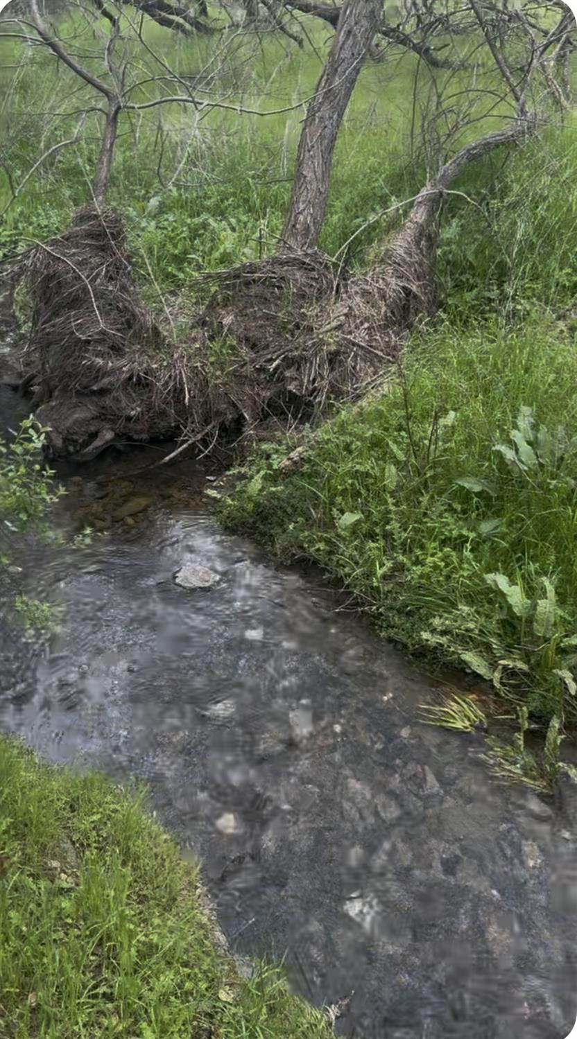 679 Zarzamora, La Grange, CA 95329