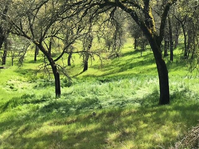 679 Zarzamora, La Grange, CA 95329