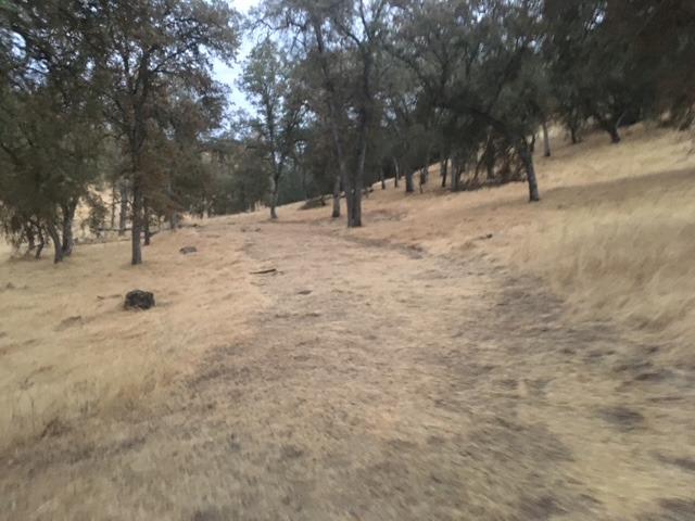 679 Zarzamora, La Grange, CA 95329