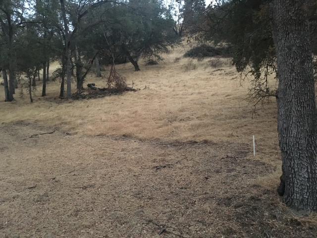 679 Zarzamora, La Grange, CA 95329