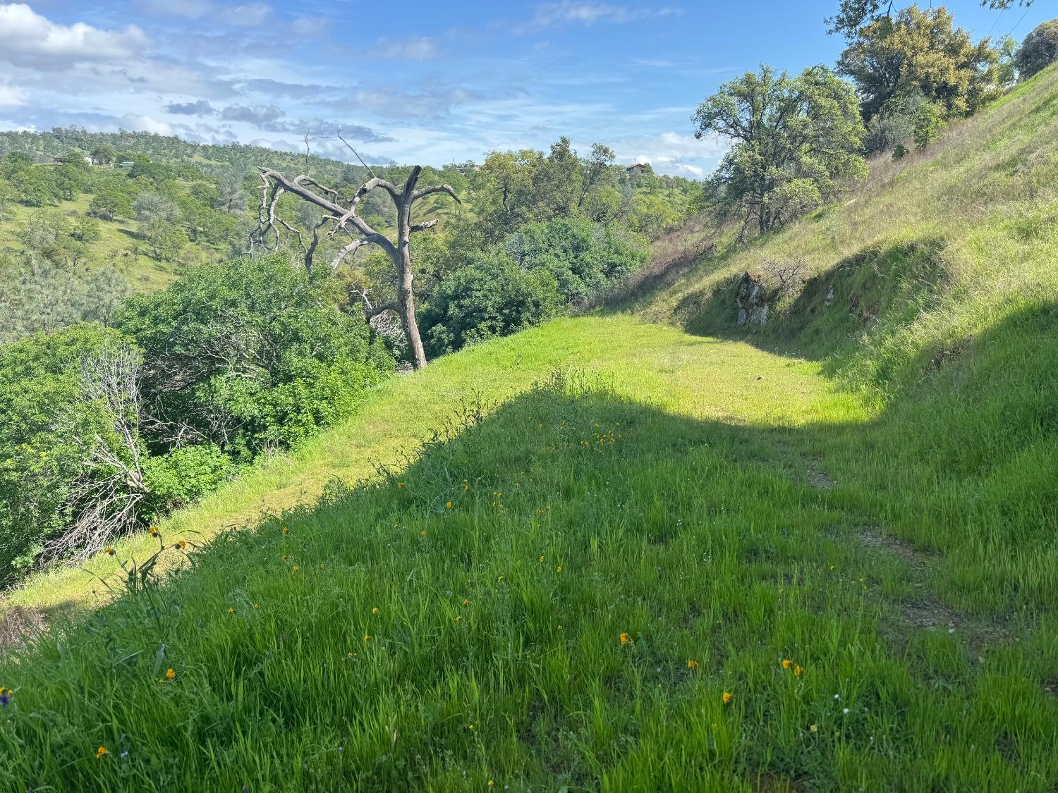 679 Zarzamora, La Grange, CA 95329