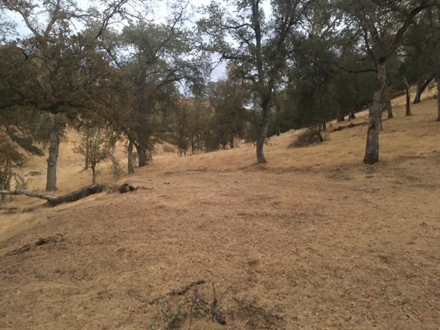 679 Zarzamora, La Grange, CA 95329