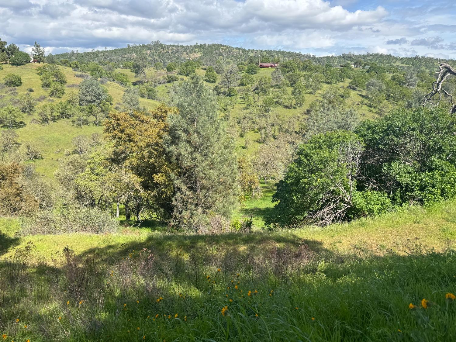 679 Zarzamora, La Grange, CA 95329