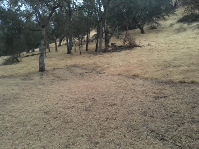 679 Zarzamora, La Grange, CA 95329