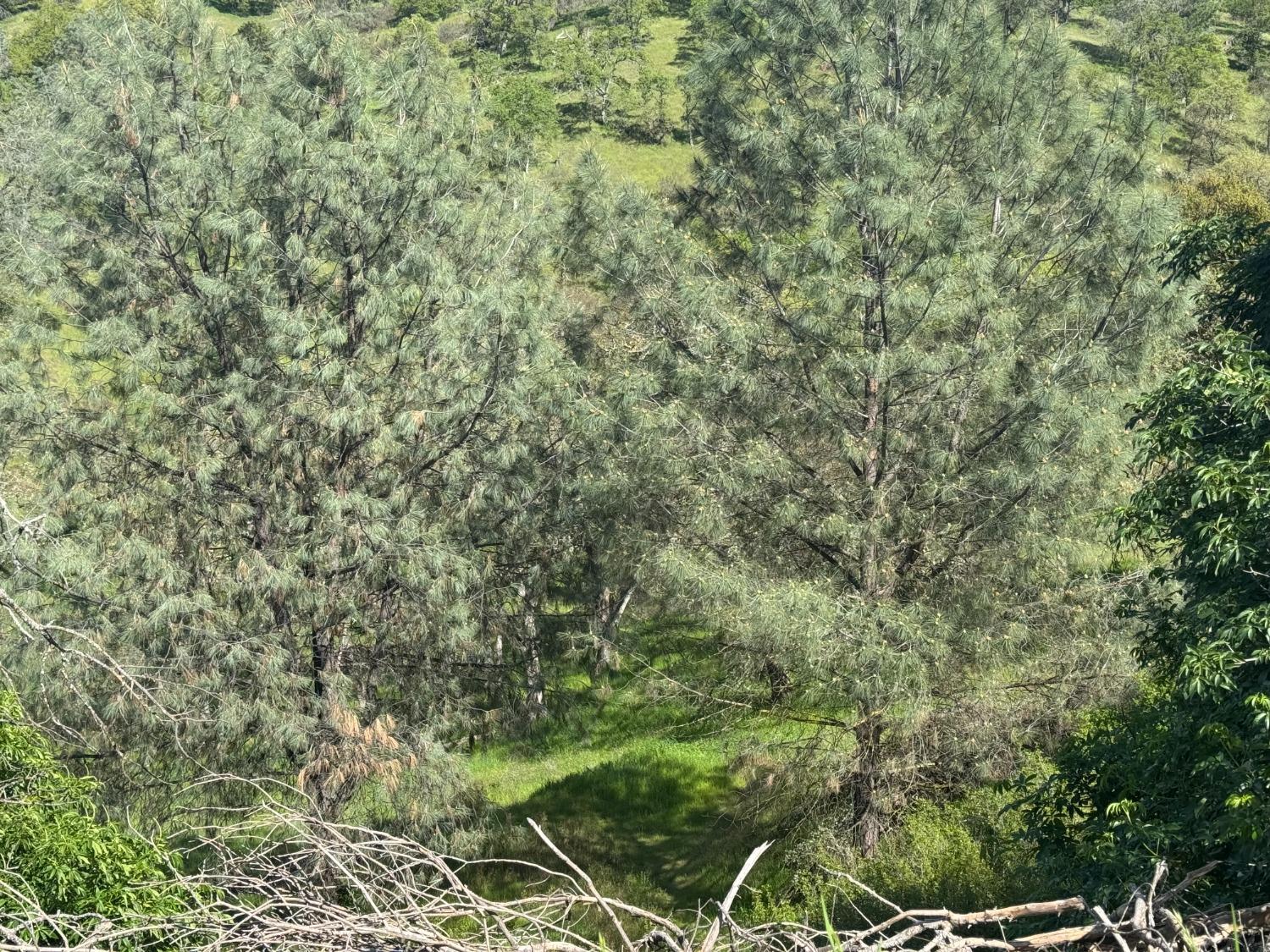 679 Zarzamora, La Grange, CA 95329