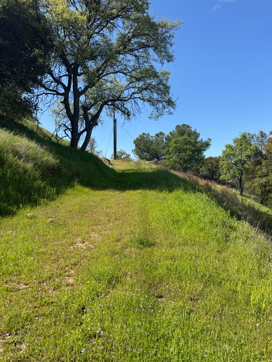 679 Zarzamora, La Grange, CA 95329