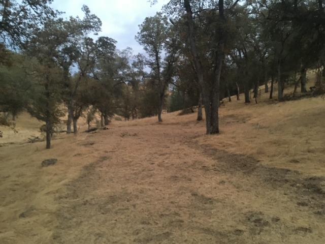 679 Zarzamora, La Grange, CA 95329