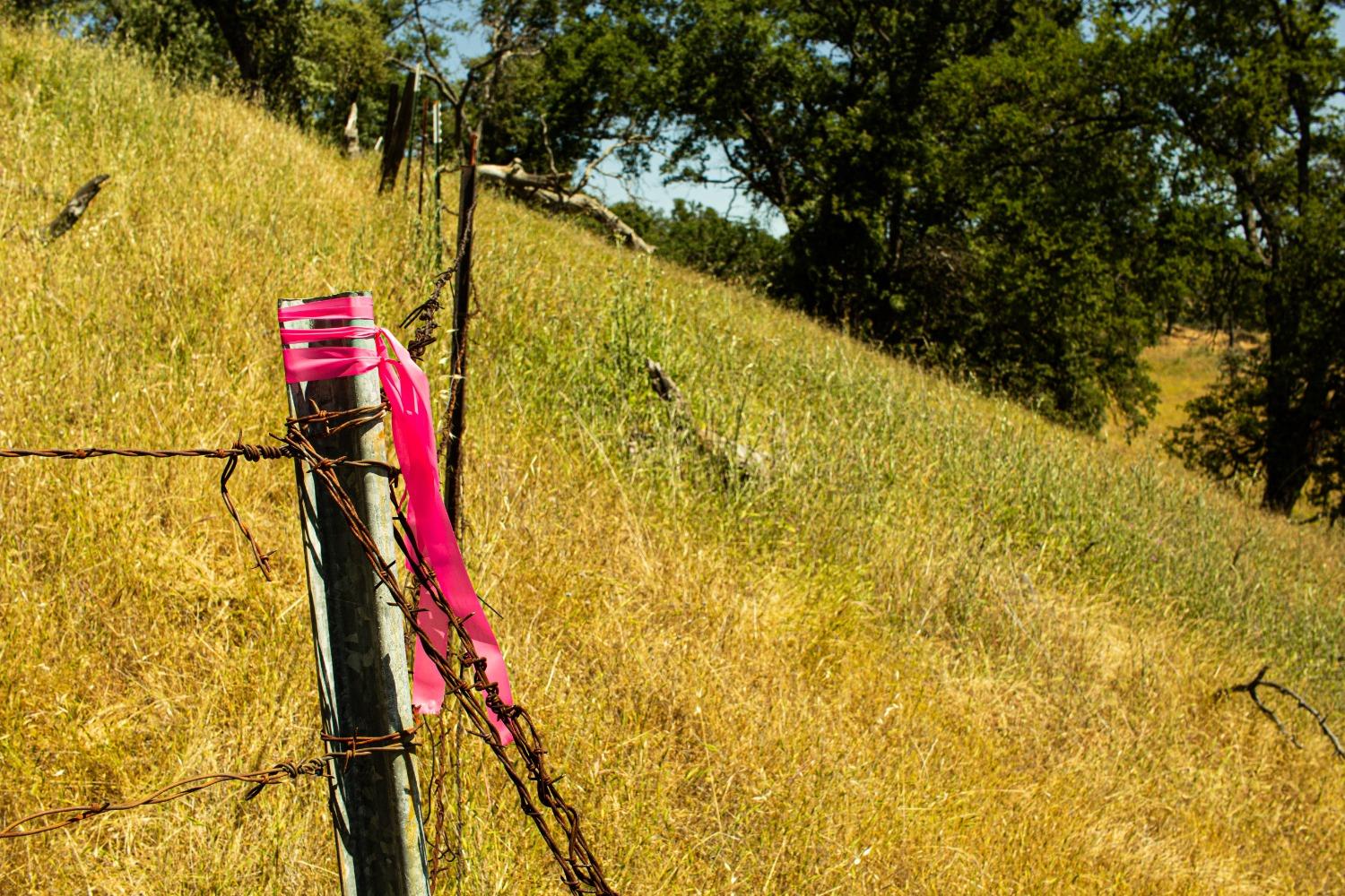 3070 State Hwy 132, La Grange, CA 95329