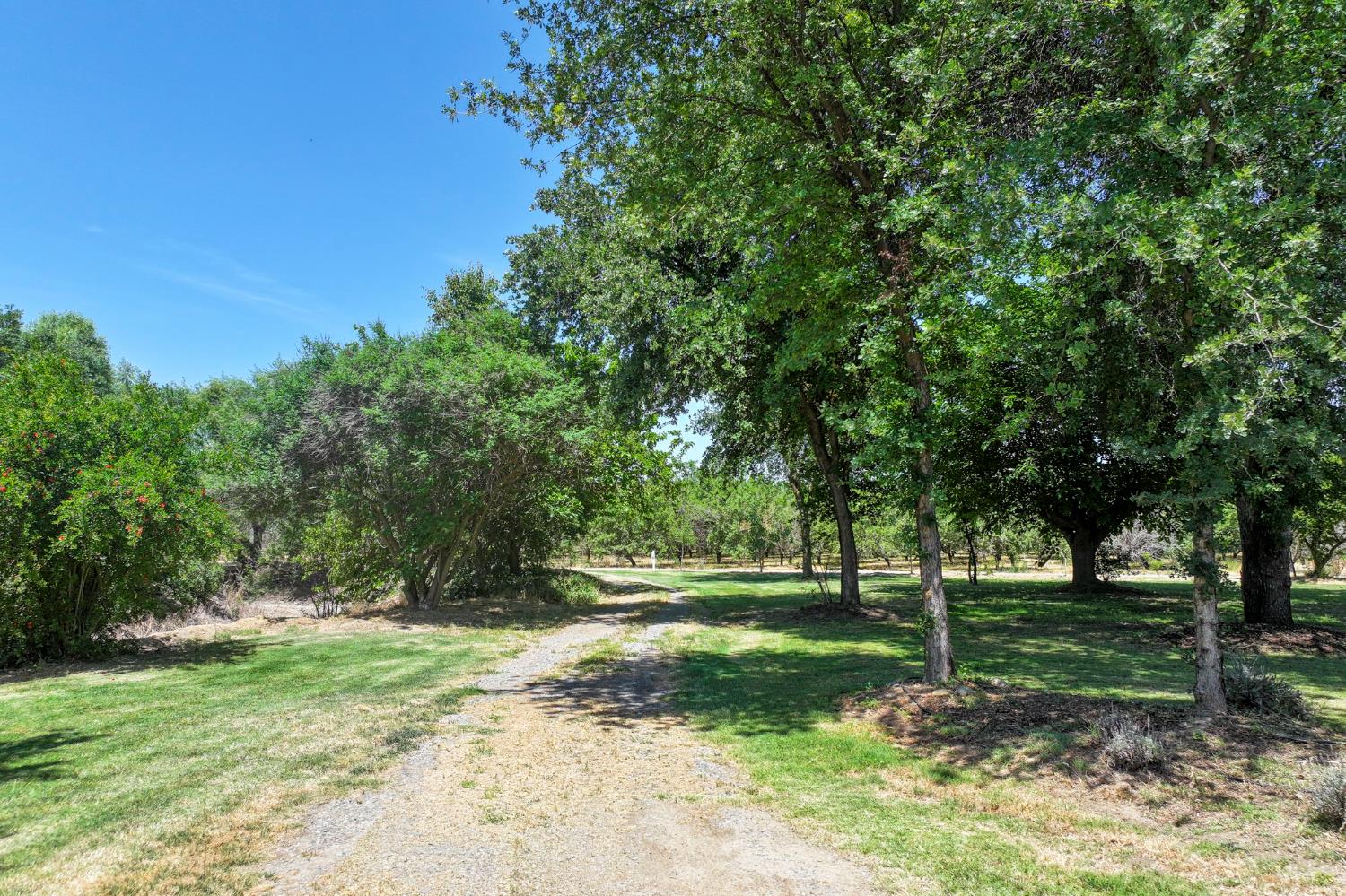 9415 21st Alley, Lemoore, CA 93245