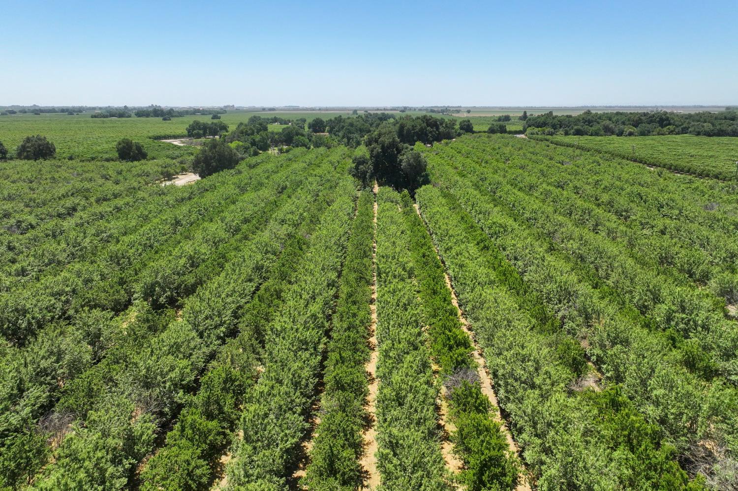 9415 21st Alley, Lemoore, CA 93245